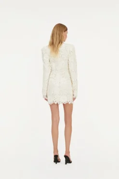 3d Lace Ls Mini Dress